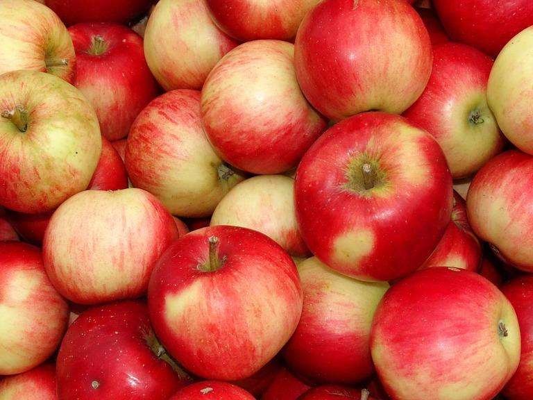 苹果手机忘记ID账号和密码的解决方法及预防措施